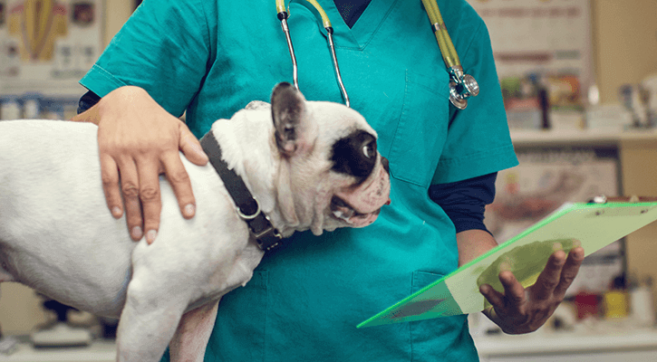 It can be very stressful when your pet needs surgery. We'll be with you every step of the way.