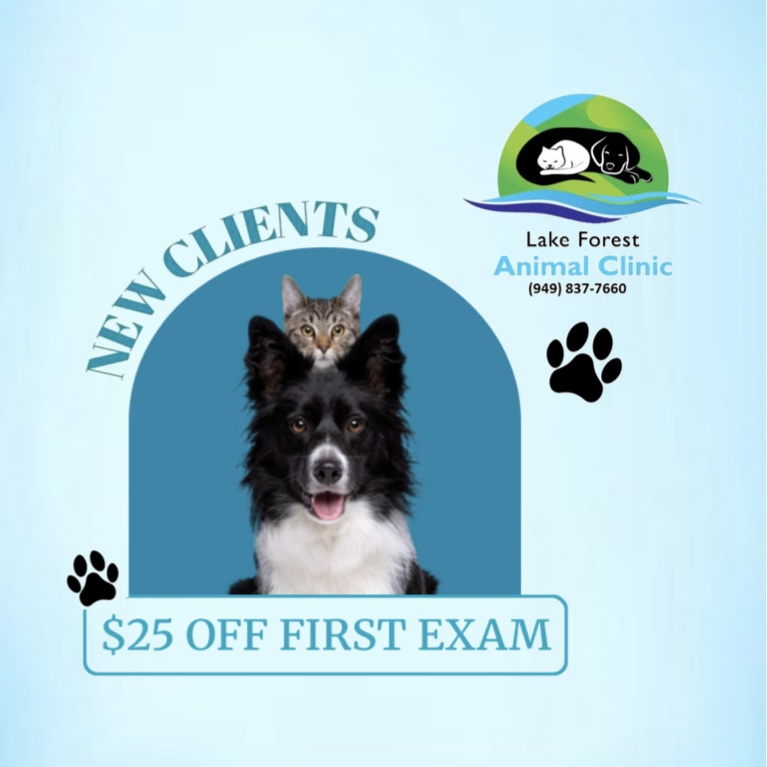 New Clients Promotion